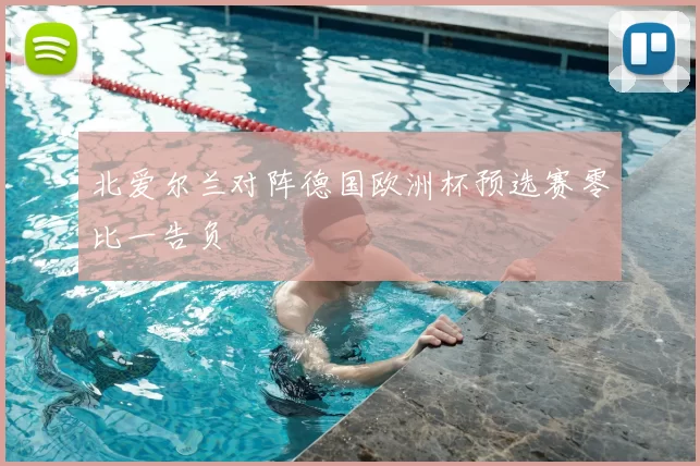 北爱尔兰对阵德国欧洲杯预选赛零比一告负