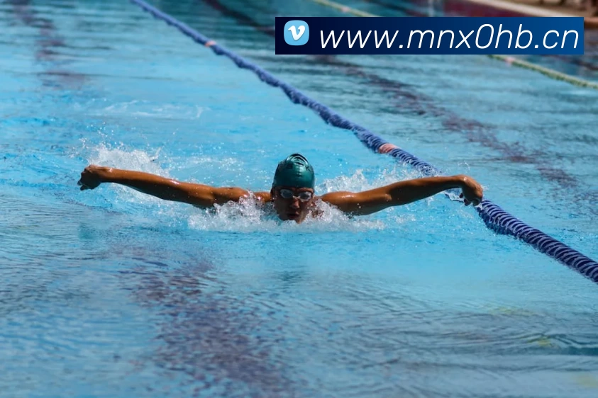 2018世界杯官网平台生态图